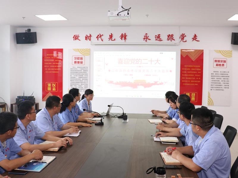 mk体育重工党支部召开会议传达学习省第十二次党代会精神